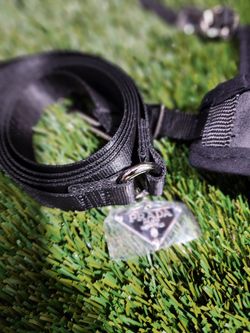 Prada dog best sale leash