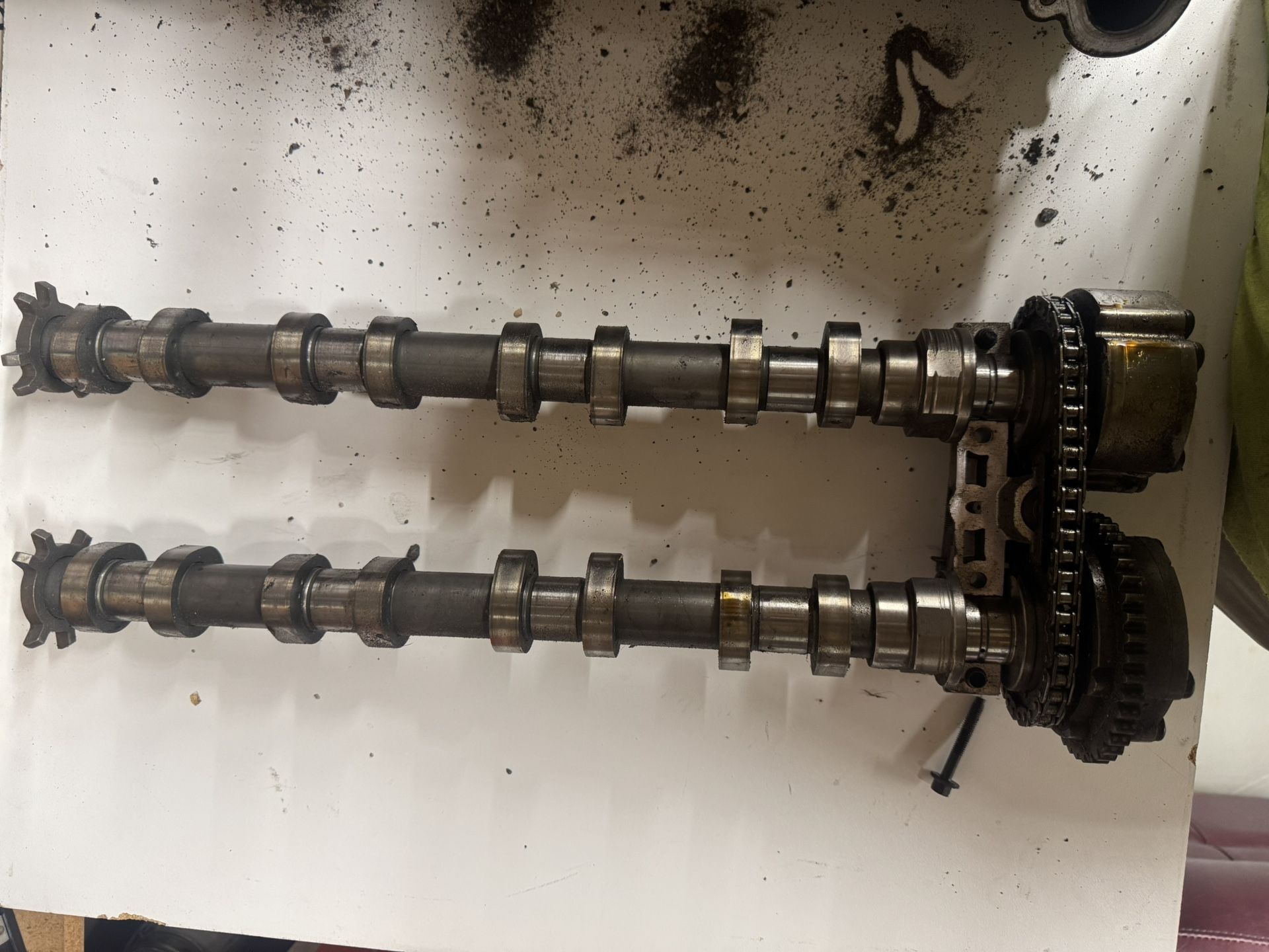 5.0 Mustang Valve Train