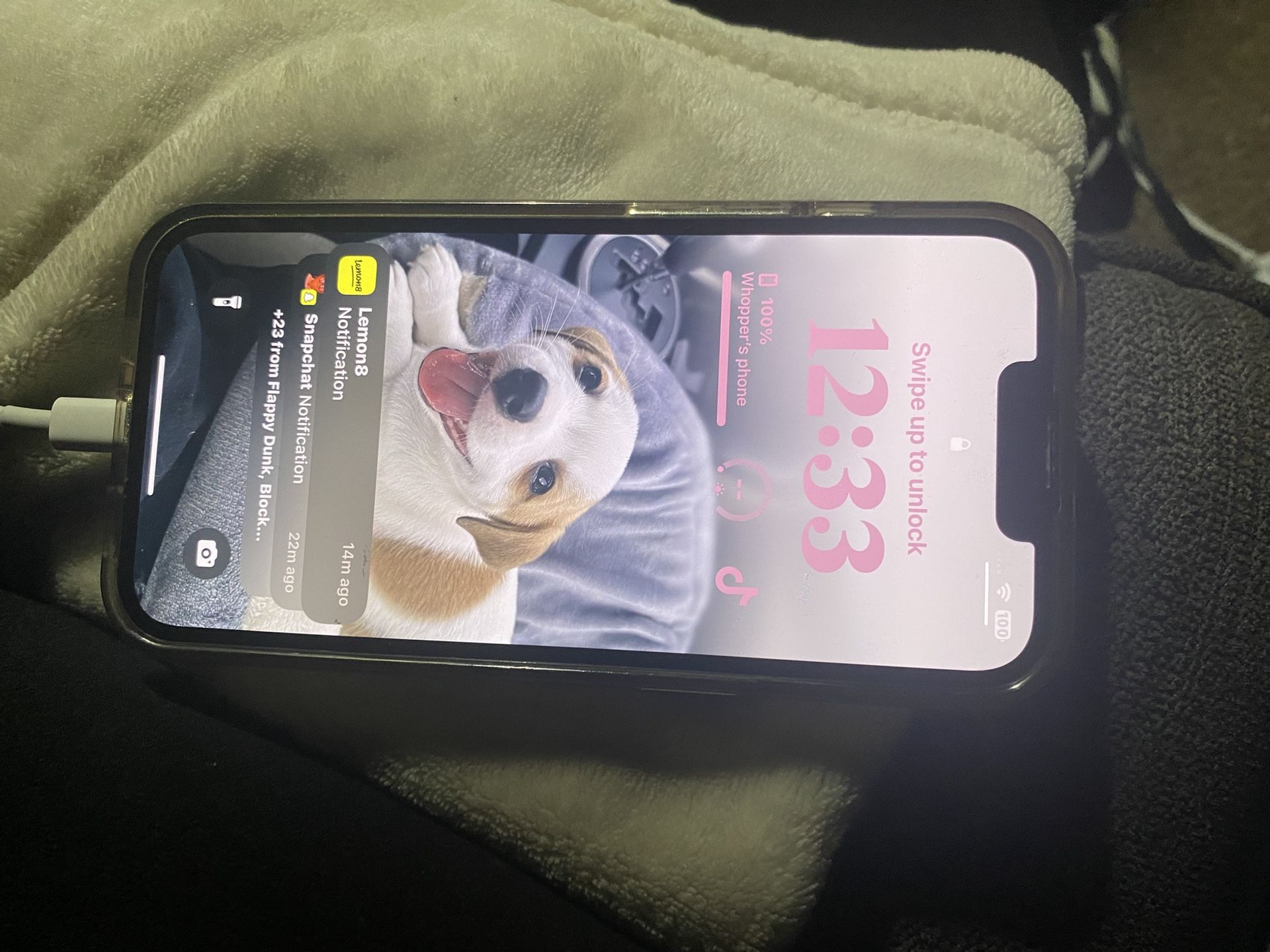 iPhone 14