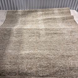 Avanta area rug 5x7 Neutral Area Rug (049)