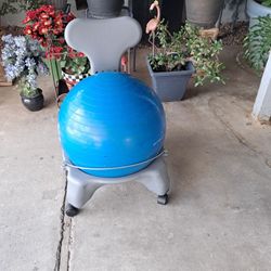 Balance Ball Chair 