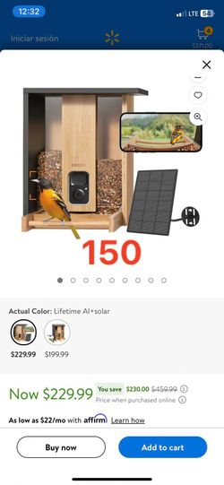 bird Feeder Camera