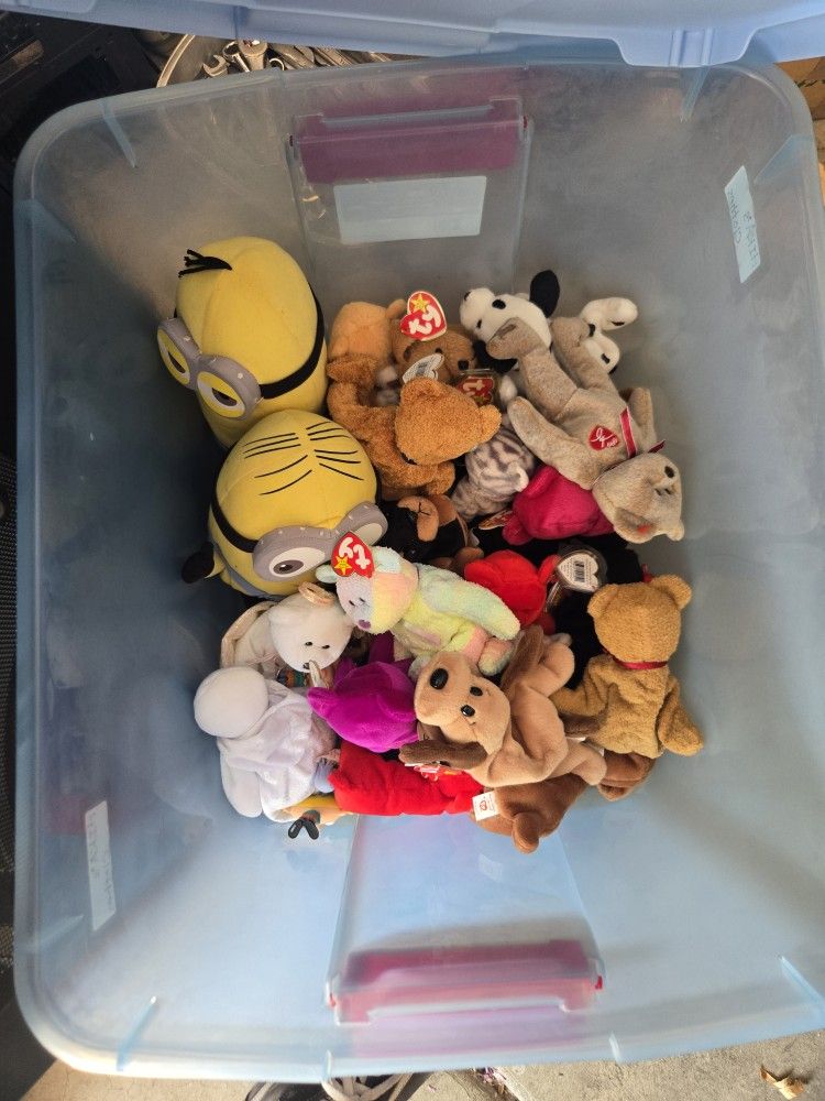 Misc Plushies And Beanie Babies