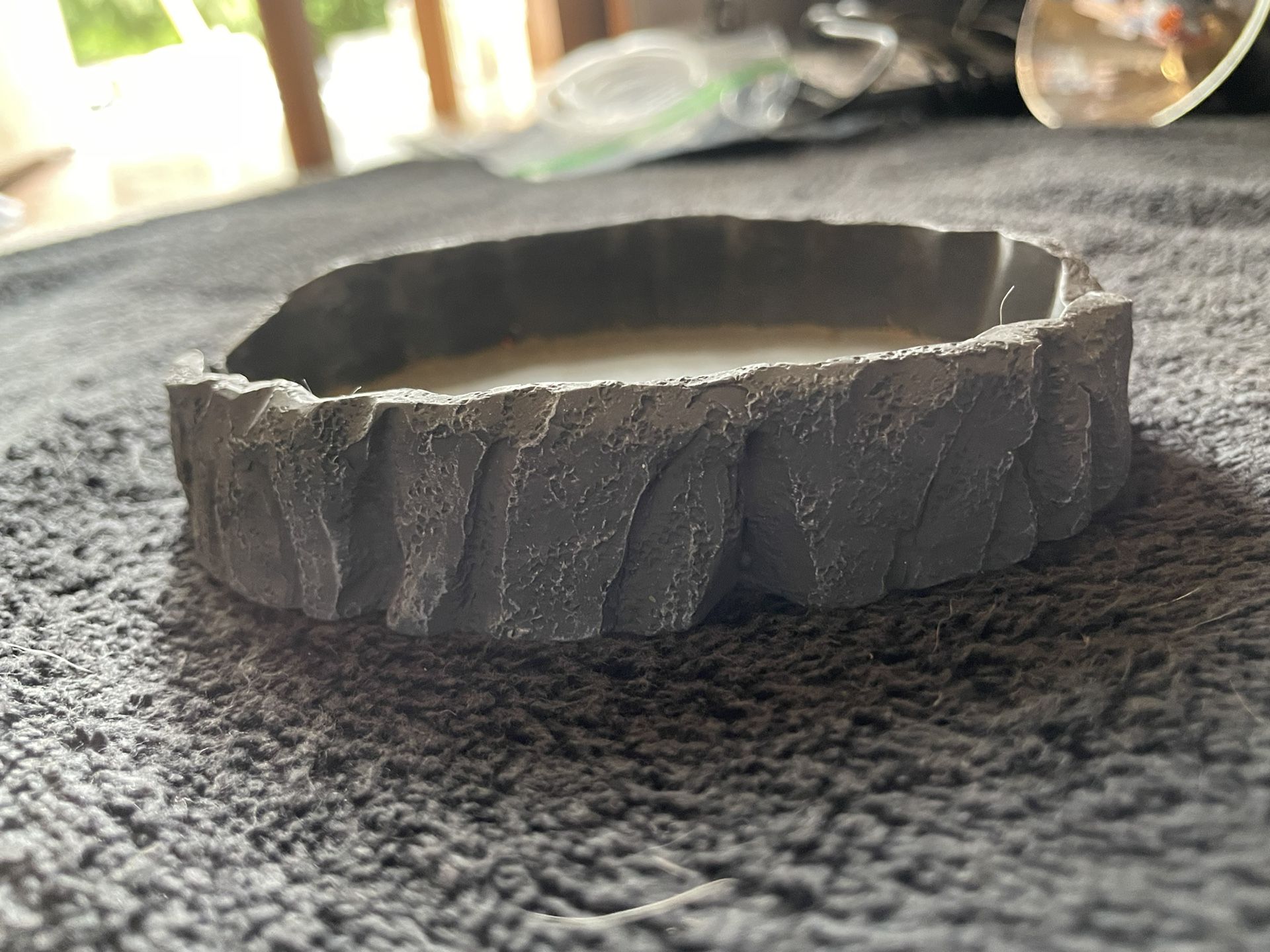 Reptile Bowl