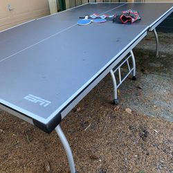 Ping Pong Table