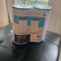Mainstay Pool Filter Cartridge 2 Pack Type A/C