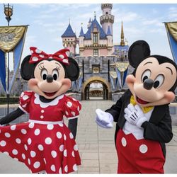 Disneyland 1 day 1 park 🎟🎟( not park hopper not fast pass)