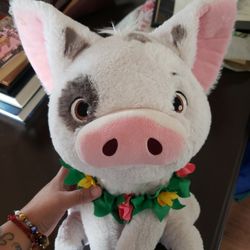 Pua From Moana 