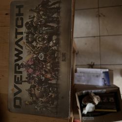 Overwatch License Plate