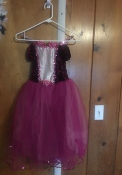 A wish come true ballerina costume