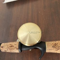 Shimano Calcutta 250 Reel With Fenwick Legacy Rod