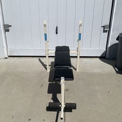 Multi-Purpose Weight Bench