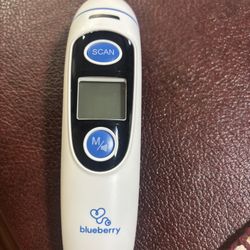 Thermometer