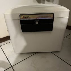 Sentry Fire safe document file