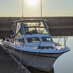 Grady White Ocean Pro 240