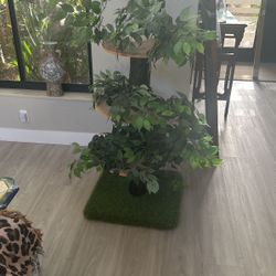 Cat Tree