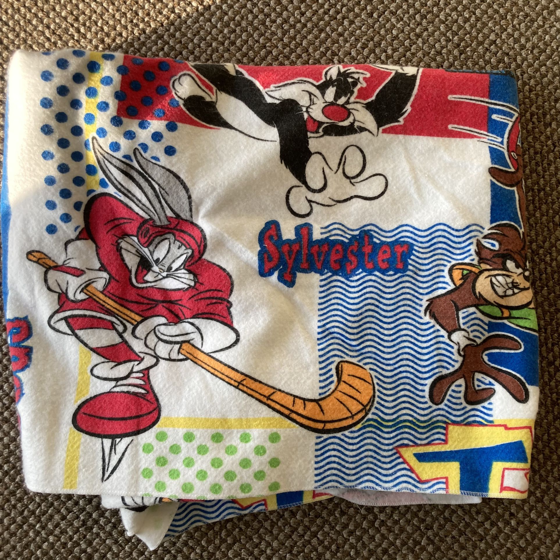 Vintage Looney Tunes Sports Blanket