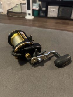 Murrieta Daiwa Sealine 50 hs salt water fishing reel star drag.