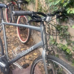 Giant Escape XL bike