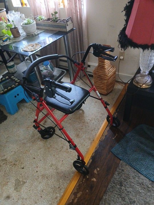 Walker With Wheels 25 Bucks 