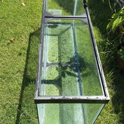 55 Large Tank For Fish/turtle