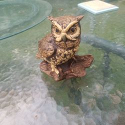 Owl
