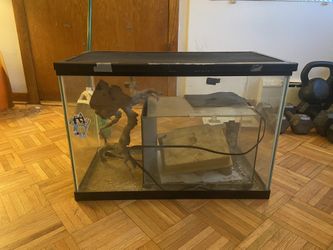 Tank