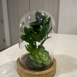 Faux Small Atrium 