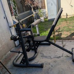 Bench Press Gold's Gym