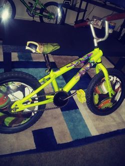 Ninja Turtle bike