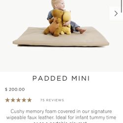 Gathre Padded Mini