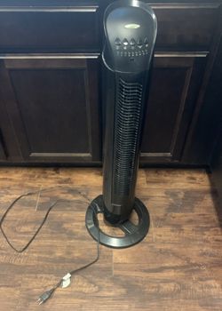 Tall Fan