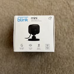 Blink Mini