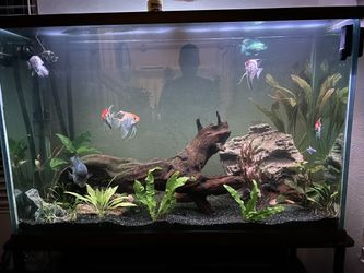 Aquarium 100 Gallon 