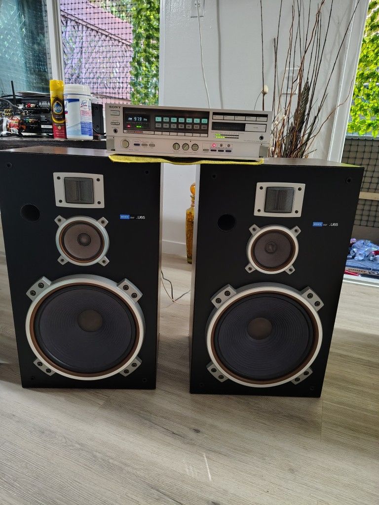 Sony Receiver & Speakers