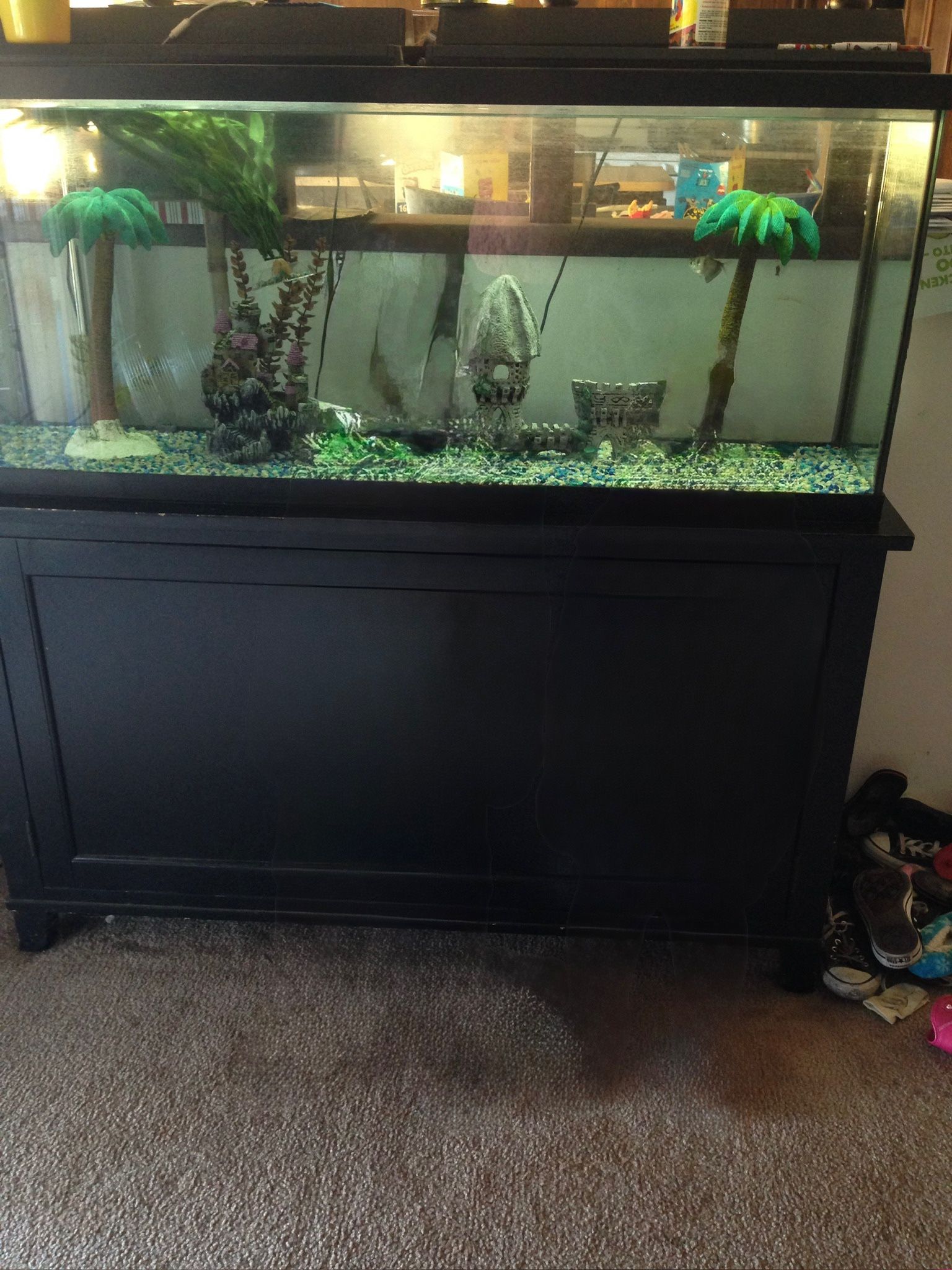 Fish Tank