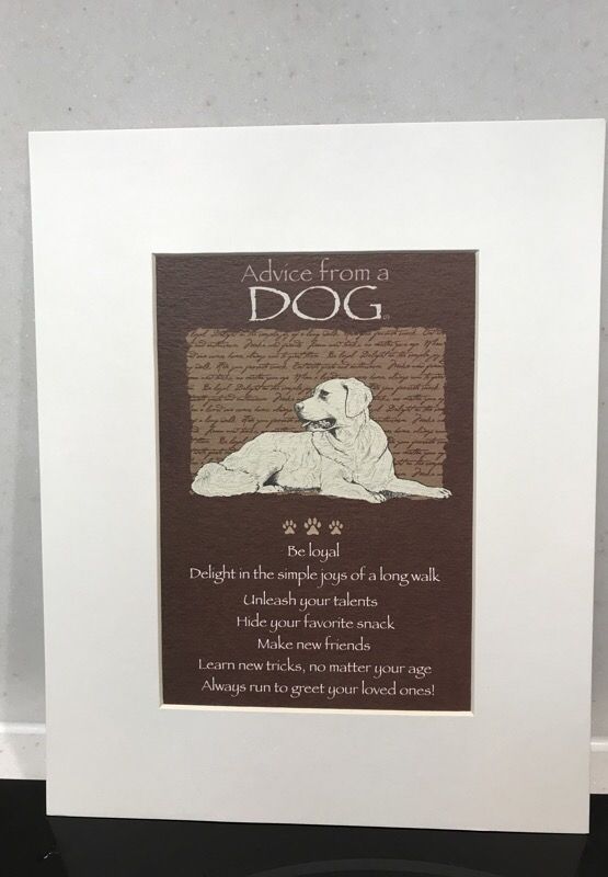 Matted Print advice From a Dog