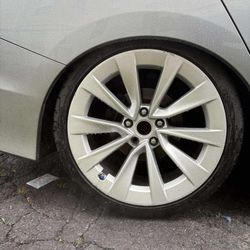 19in tesla wheels