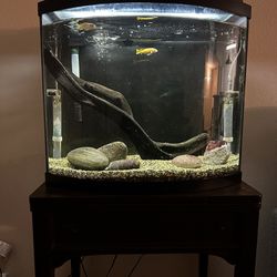 Fish Tank And Parts For Sale