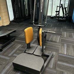 Standing Hip Abduction Matching - Plate Loaded