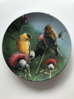 Decorative Plate with Birds by Kevin Daniel