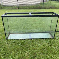 60 Gallon Fish Tank 