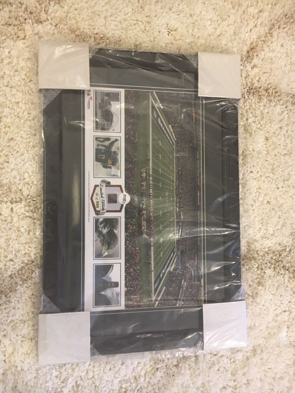 Seattle seahawks actual piece of game used football