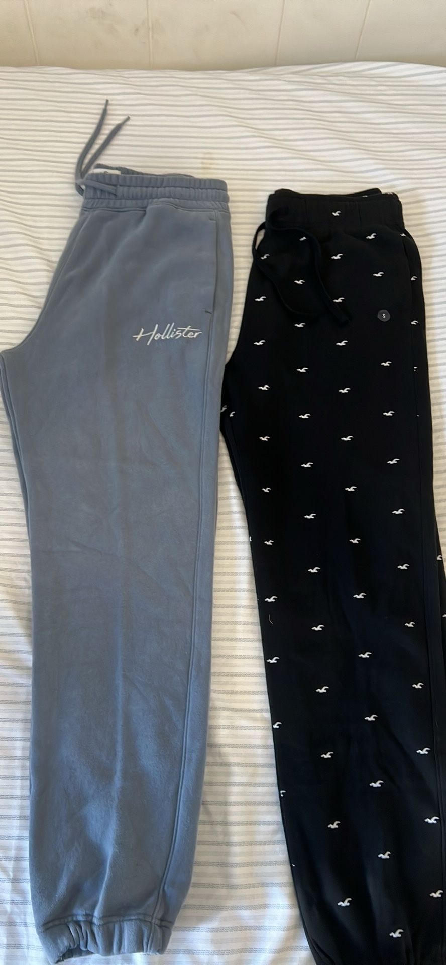 Men Jogger Pants Hollister