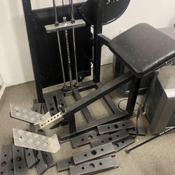 Apex Back Extension Machine 