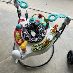 Fisher Price Bouncer