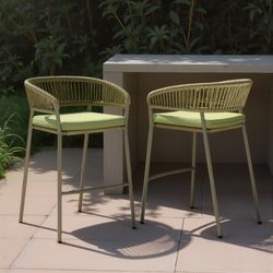 Skye Green Outdoor Barstool (Set of 2)