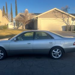 Silver Old School Lexi 