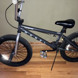 2009 Boys, Mongoose freestyle, BMX bike