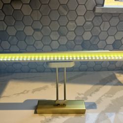 16” Picture Light 